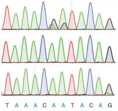 How to Spot RNA Editing