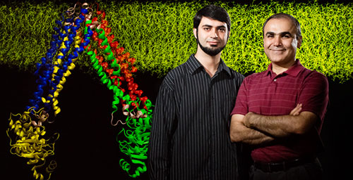 Postdoctoral researcher Mahmoud Moradi, left, and biochemistry professor Emad Tajkhorshid