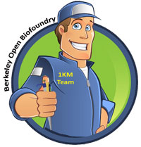 Berkeley Open Biofoundry logo