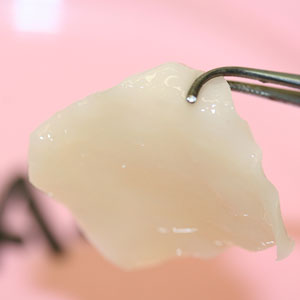 white, glossy cartilage made in the laboratory