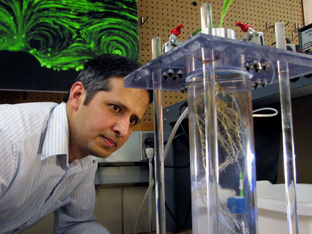 Zaki Jubery, a postdoctoral research associate in mechanical engineering