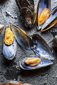 mussels