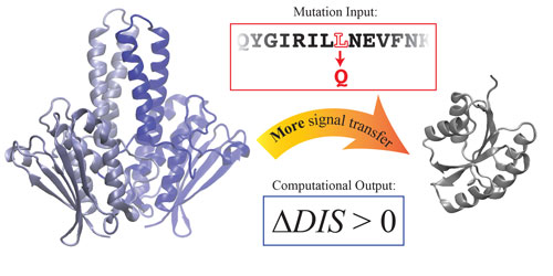 computational scoring function that can predict how single mutations can alter the interaction between two-component signaling (TCS) proteins