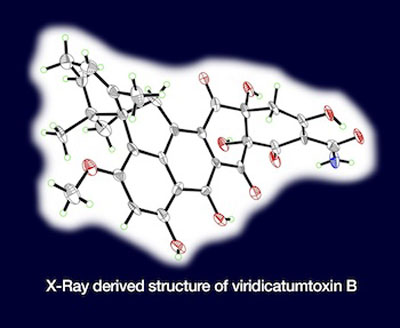 X-ray derived structure of viridicatumtoxin B