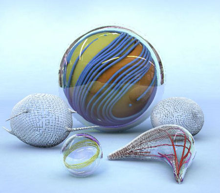 A variety of vesicle shapes