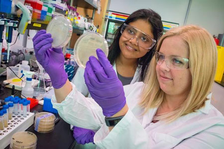 Aindrila Mukhopadhyay and Heather Jansen engineer E. coli to produce biogasoline at JBEI