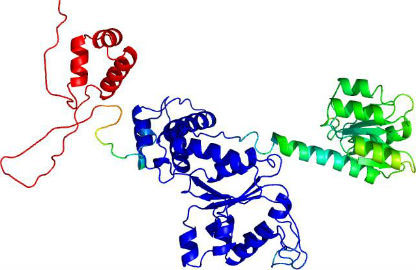Molecule NtrC - the protein used to ‘hotwire’ the bacteria