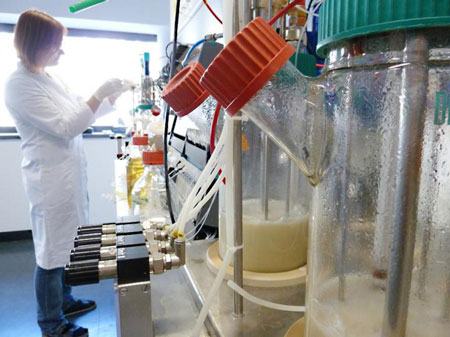 Tamara Wriessnegger is manipulating a bioreactor with yeast producing valuable nootkatone