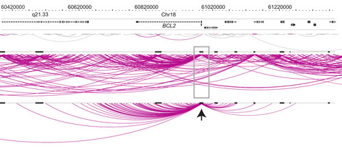 A graphic shows how many more promoter interactions (purples arcs) are captured by the Capture Hi-C method