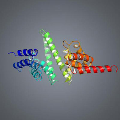 Crystal structure of the assembly chaperone of ribosomal protein L4