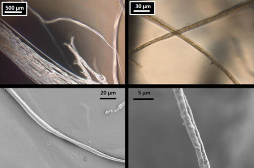 Microscope images of lab-produced fibers