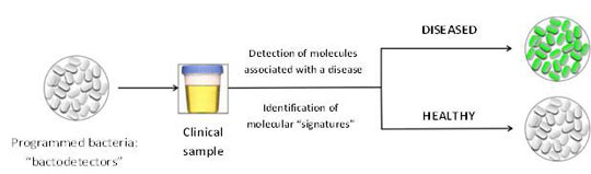 Principle of the use of modified bacteria for medical diagnosis