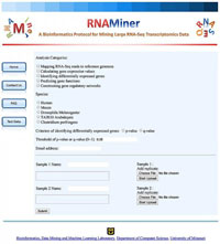 RNAMiner screenshot