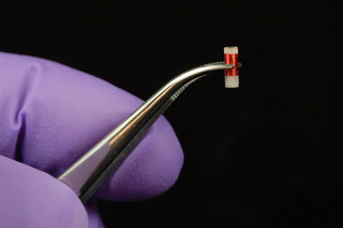 implantable biochemical sensor