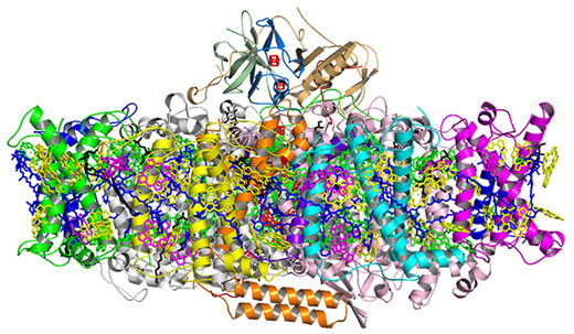 Crystal structure of plant PSI-LHCI supercomplex