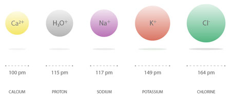Dimensions of various ions that pass through a membrane