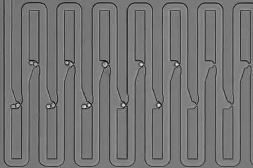 microfluidic device that traps individual cells