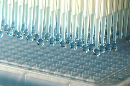 Pipetting robots carry out high-throughput screening