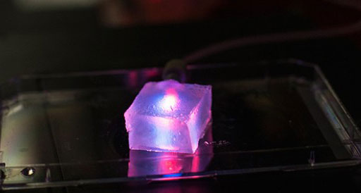Three-dimensional slab of gelatin that contains a microvascular network