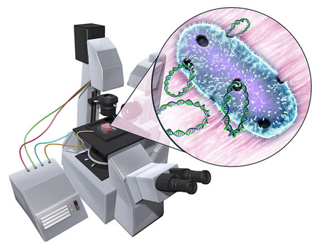 An artist’s rendition of DNA entering bacteria