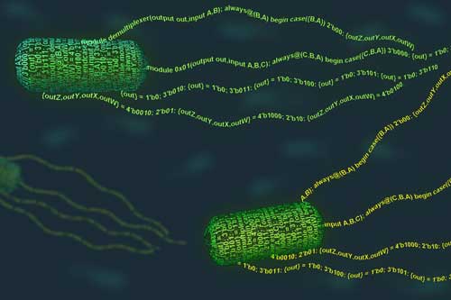 a programming language that can be used to give new functions to E. coli bacteria