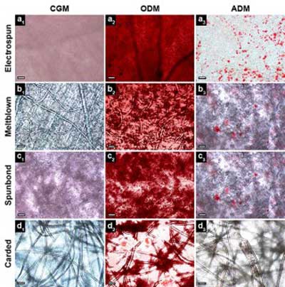 Alizarin Red S calcium staining shows how all nonwoven fabrics types were evaluated as tissue engineering scaffolds