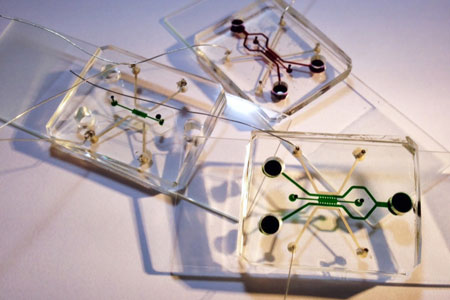 three microfluidic devices filled with food color dyes