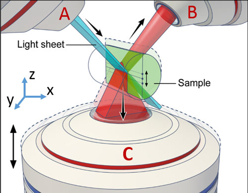 cartoon image of three microscope lenses imaging a sample