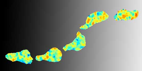 A cell on the move