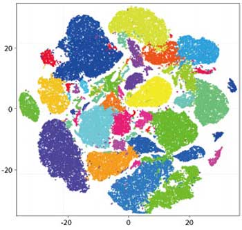 The complexity of the immune cells in human whole blood analyzed by flow cytometry