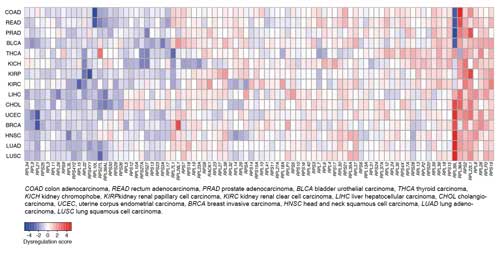 Gene expression level of individual ribosomal proteins (RP) in different types of cancer