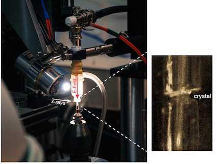 applying large voltage pulses to protein crystals simultaneously with X-ray pulses