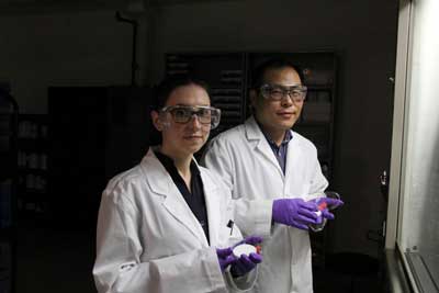 materials engineering professor Hyo-Jick Choi (right) and graduate student Ilaria Rubino examine sample of filters