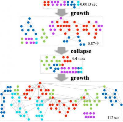 Growth and collapse of the network composed of QSS components