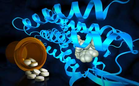 molecular structures at the site where drug compounds interact with cell receptors