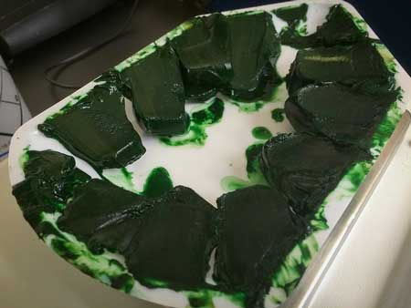 Gelatinous chunks of biomass