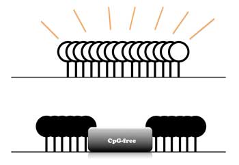 editing of the epigenome