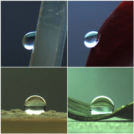 Water droplets on a biofilm (left column) and plant leaves (right column)
