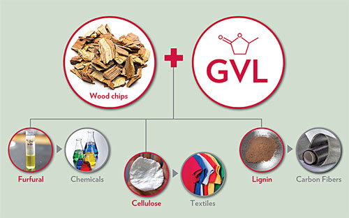 a green technology for converting non-edible biomass into three high-value chemicals