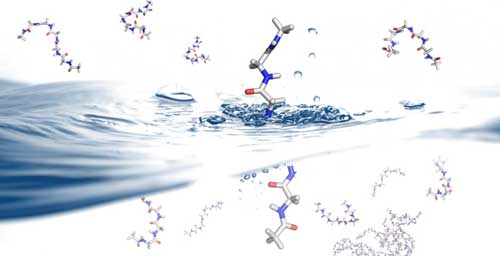 Peptides in Water