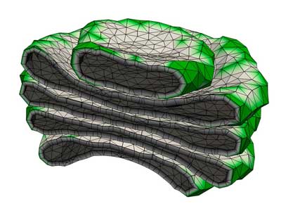 A computer simulation of the Golgi apparatus