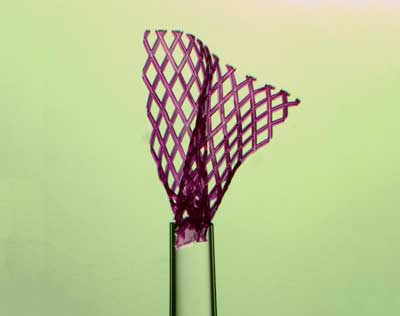 Injectable Tissue Scaffold