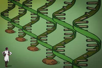 Scientists are just now beginning to understand the various functions of RNA on human health