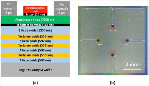 Gravimetric biosensor