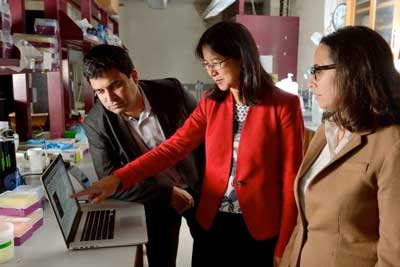 Johns Hopkins engineering faculty members, from left, David Gracias, Thao (Vicky) Nguyen and Rebecca Schulman