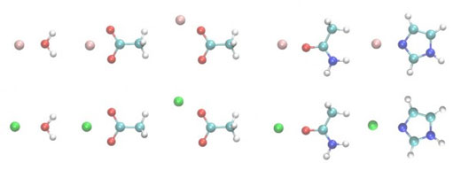 Structures of the metal ion-ligand dimers