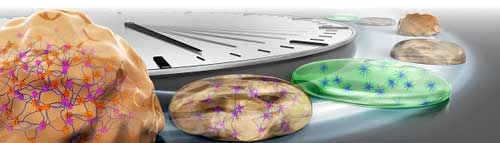 Conceptual rendering of spontaneous sol-gel oscillation in novel amoeba-like fluids
