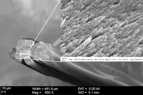 cross-section SEM image of regenerated silk fibers