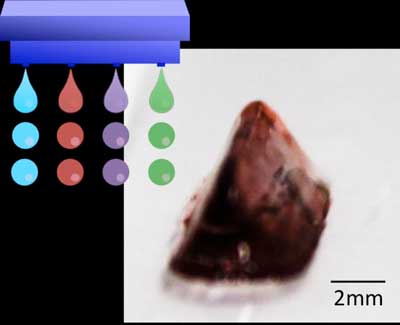 3-D Hydrogel Construct