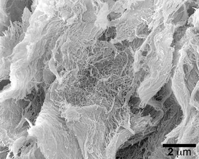 hydrogel